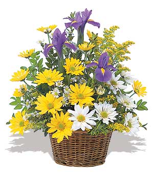 sari ve beyaz krizantemler   Ankara �i�ek ma�azas� , �i�ek�i adresleri 