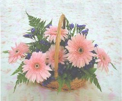 gerbera �i�eklerinde sepet   Ankara �i�ek yolla 