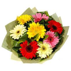 9 adet karisik gerbera demeti  Ankara �i�ek ma�azas� , �i�ek�i adresleri 
