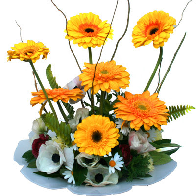 camda gerbera ve mis kokulu kir �i�ekleri  Ankara �i�ek�i telefonlar� 