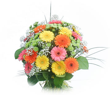 13 adet gerbera �i�egi buketi  Ankara online �i�ek g�nderme sipari� 