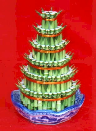 Lucky Bamboo sans melegi �i�egi  Ankara �i�ek�iler 