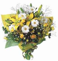  Ankara ucuz �i�ek g�nder  Lilyum ve mevsim �i�ekleri