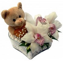  Ankara �i�ek yolla  15 cm boyutlarinda ayicik ve 1 kandil orkide