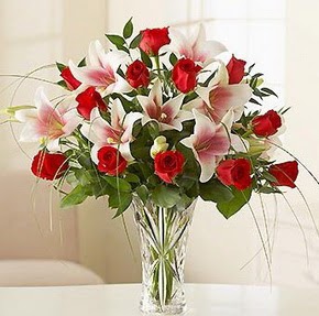  Ankara �i�ek ma�azas� , �i�ek�i adresleri  12 adet k�rm�z� g�l 1 dal kazablanka �i�e�i
