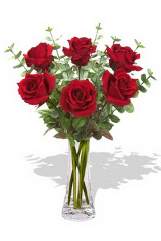  Ankara �i�ek�i ma�azas�  6 k�rm�z� g�l vazosu