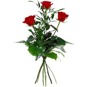  Ankara uluslararas� �i�ek g�nderme  3 adet k�rm�z� g�lden buket