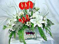  Ankara �i�ek ma�azas� , �i�ek�i adresleri  Anthurim Kazablanka  g�l