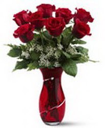 8 adet k�rm�z� g�l sevgilime hediye  Ankara �nternetten �i�ek sipari�i 