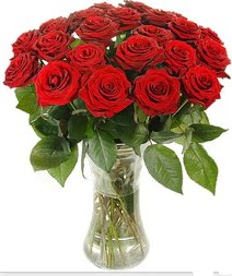  Ankara �i�ek ma�azas� , �i�ek�i adresleri  Vazoda 15 adet k�rm�z� g�l tanzimi