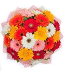 15 adet renkli gerbera buketi  Ankara yurti�i ve yurtd��� �i�ek sipari�i 