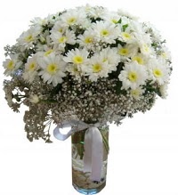 Vazoda beyaz papatyalar  Ankara yurti�i ve yurtd��� �i�ek sipari�i 