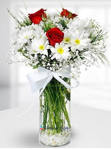 3 k�rm�z� g�l ve krizantemler camda  Ankara �i�ek ma�azas� , �i�ek�i adresleri 