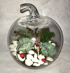 K���k terrarium elma 3 kakt�s  Ankara �i�ek ma�azas� , �i�ek�i adresleri 