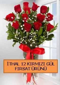 �thal k�rm�z� 12 adet kaliteli g�l  Ankara ucuz �i�ek g�nder 