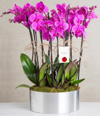 11 dall� mor orkide metal vazoda  Ankara �i�ek g�nderme sitemiz g�venlidir 
