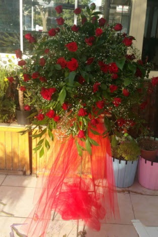 71 adet k�rm�z� g�lden ferf�rje �i�e�i  Ankara �i�ek sat��� 