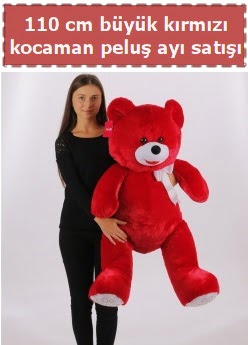 110 cm b�y�k k�rm�z� kocaman pelu� ay�  Ankara �i�ek g�nderme 