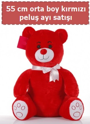 55 cm k�rm�z� orta boy oturan pelu� ay�  Ankara �i�ek yolla 