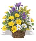 sari ve beyaz krizantemler   Ankara �i�ek ma�azas� , �i�ek�i adresleri 