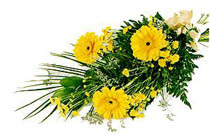 sari gerbera ve sari �i�ek   Ankara �nternetten �i�ek sipari�i 