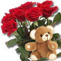 11 adet g�l ve ayicik buket   Ankara �i�ek yolla 
