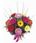 karisik gerbera �i�ekleri  Ankara �i�ek yolla 