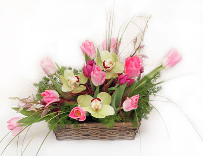 sepet i�erisinde 3 adet orkide ve lale  Ankara �i�ek ma�azas� , �i�ek�i adresleri 