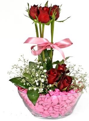  Ankara İnternetten çiçek siparişi  SEVIYORUM DIYENLER 7 kirmizi gül tanzim 