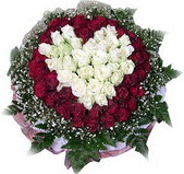  Ankara �i�ek ma�azas� , �i�ek�i adresleri  27 adet kirmizi ve beyaz g�l sepet i�inde