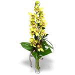  Ankara nternetten iek siparii  cam vazo ierisinde tek dal canli orkide