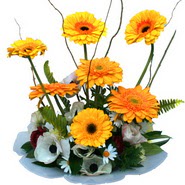 camda gerbera ve mis kokulu kir �i�ekleri  Ankara �i�ek�i telefonlar� 
