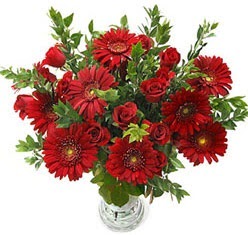 5 adet kirmizi g�l 5 adet gerbera aranjmani  Ankara hediye �i�ek yolla 