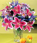  Ankara �i�ek ma�azas� , �i�ek�i adresleri  Sevgi bah�esi �zel  bir tercih