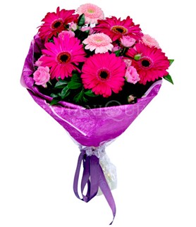 Ankara �i�ek sipari�i sitesi  kar���k gerbera �i�e�i buketi