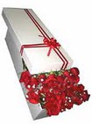  Ankara �i�ek�i telefonlar�  11 adet 1.kalite magnum g�ller