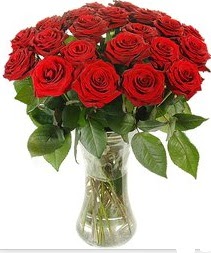  Ankara �i�ek ma�azas� , �i�ek�i adresleri  Vazoda 15 adet k�rm�z� g�l tanzimi