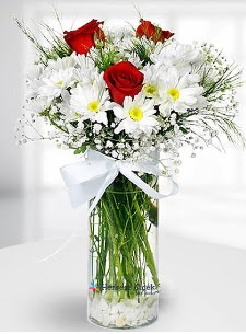 3 k�rm�z� g�l ve krizantemler camda  Ankara �i�ek ma�azas� , �i�ek�i adresleri 
