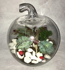 K���k terrarium elma 3 kakt�s  Ankara �i�ek ma�azas� , �i�ek�i adresleri 