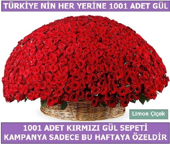 1001 Adet krmz gl Bu haftaya zel  Ankara nternetten iek siparii 