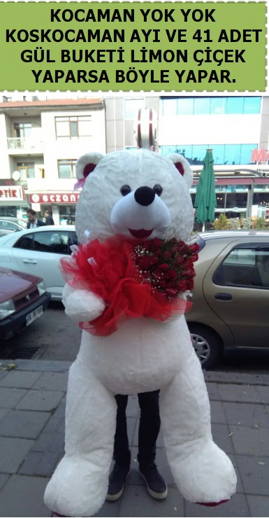 Koskocaman beyaz ay� ve 25 adet g�l  Ankara �i�ek sipari�i sitesi 