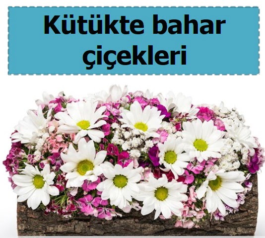 K�t�k i�erisinde k�r �i�ekleri  Ankara �i�ek , �i�ek�i , �i�ek�ilik 