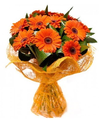 11 adet turuncu gerbera buketi  Ankara �i�ek�iler 