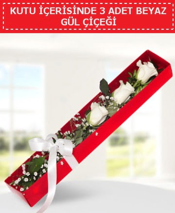 Kutu i�erisinde 3 adet beyaz g�l �i�e�i  Ankara cicek , cicekci 