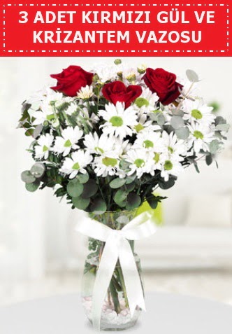 3 k�rm�z� g�l ve camda krizantem �i�ekleri  Ankara �i�ek g�nderme 
